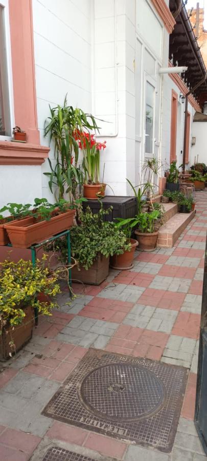 부쿠레슈티 Casa Liveni 아파트 외부 사진